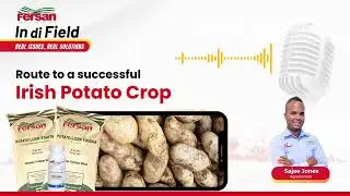Route to a Successful Irish Potato Crop