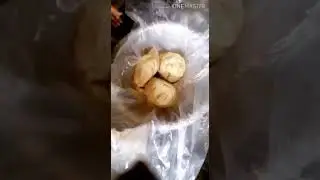 This is a traditional food item of Lepcha culture 😋😋khapja the yummy snak
