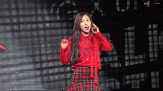 170514 YG X UNICEF WALKING FESTIVAL - TALK BLACKPINK  ROSÉ FOCUS 와이지 걷기대회 토크 로제 포커스