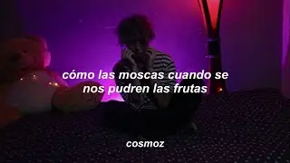 Kay Trashu - Sobremojado | Letra