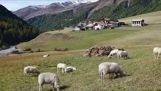 Langtauferertal           Reschensee  Graun