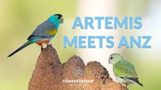 Conservation Partners - Artemis meets ANZ