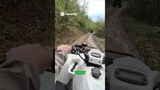 SUBSCRIBE FOR MORE ATV DRIVES #Shorts #Quad #ATV #OffRoad #POV #Mountains #Forest #Adrenaline