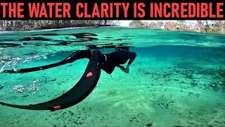 Free Diving beautiful natural springs in Florida.