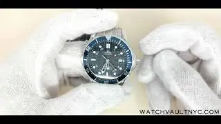 Omega Seamaster Professional 2535.80 Diver 300M GMT Review | Watch Vault NYC