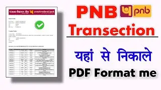 Download Punjab National Bank (PNB) transaction statements | PNB bank statement view