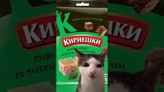 Кот ест кириешки