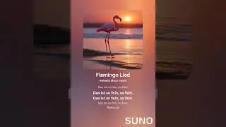 Flamingo Lied