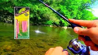 Trout Magnet FISHING Dominates My Favorite Lure