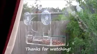 Sherwoodbase Window Clear Acrylic Bird Feeder with Removable Tray