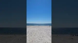 Alligator Point, Florida #shorts #florida #beach