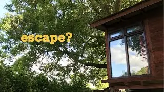 I ran away to a treehouse (but my novel followed me)