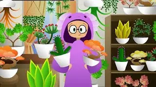 Plants