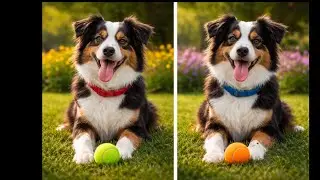 Prasad Yapamanu is live! Dog Picture 5 Different Know | Prasad Yapamanu