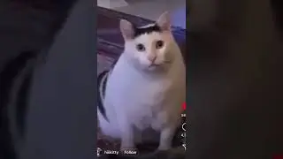 Huh?