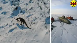 Top 10 Creepiest Discoveries Ever Made in Antarctica