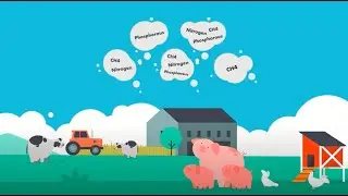 Specialty Feed Ingredients&rsquo; contribution to sustainable animal farming