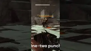 Trench Barrel vs One-Two punch (Destiny 2 Niche damage testing) #destiny2