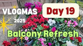 Обновление балконных растений 🌿 День 19 Vlogmas