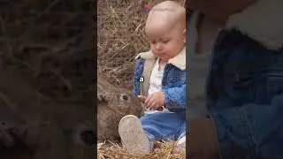 Heroic Rabbit Rescues Baby!  #animals lovers