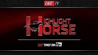 Highlight Horse - Aqueduct Race 3 - December 12, 2019