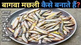 बागवा मछली बनाने का सबसे आसान तरीका सीखें, देहाती तरीके से कैसे बनाते हैं | Fish Curry At Home 