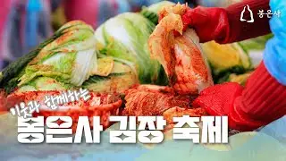 🪷1만 포기 배추에 자비심 가득 담은 김장 울력🙏 2025 봉은사 김장축제🍲