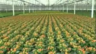 Peat in Horticulture Spec 4.
