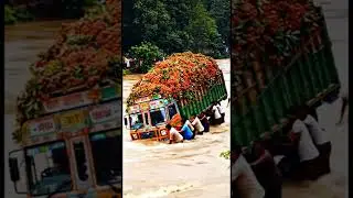 Truck Crashes Into Water | Shocking Bridge Disaster.#youtubeshorts