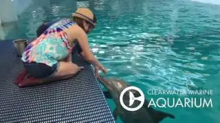 Maddi Meets Dolphins, Winter and Hope, and Shares Her Cystic Fibrosis Story - Inspirational Stories