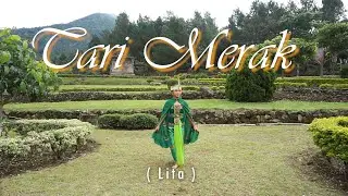 TARI MERAK -    LITA ( Sanggar tari Widiastuti )