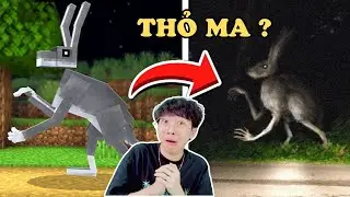 VinhMC | Sự Thật Kinh Ho&agrave;ng Về Sinh Vật Minecraft Ngo&agrave;i Đời Thực M&agrave; Bạn Chưa Từng Biết!