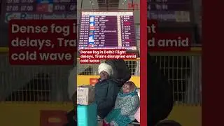 Dense fog in Delhi: Flight delays, trains disrupted amid cold wave