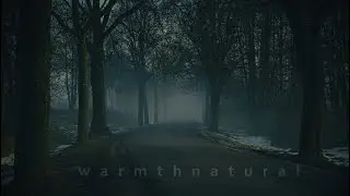 natural warmth - a place without sunlight