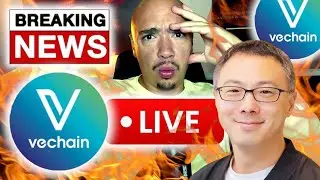 Is VeChain The Next Big Crypto Winner?