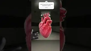A scp video