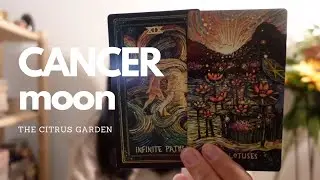 CANCER | MOON | The Hardest Part is Over...Creating Infinite Paths of Love and Abundance Ahead