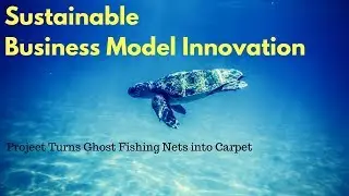 Business Model Canvas Example, Interface Case study on Sustainable Business Model Innovation