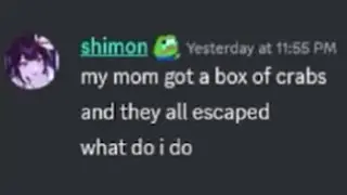 Shimon vs. A Box Of Crabs