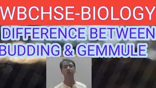 difference between budding and gemmule formation in Bengali