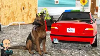 ADOPTION D'UN CHIEN / Mon Bazou #33 (Dog Update)