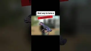 Best way to TAME Therizinosaurus 😎 | Ark Mobile #arkmobile #arksurvivalevolved