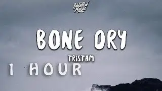 [ 1 HOUR ] Tristam - Bone Dry (Lyrics)