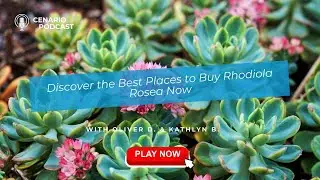 Discover the Best Places to Buy Rhodiola Rosea Now