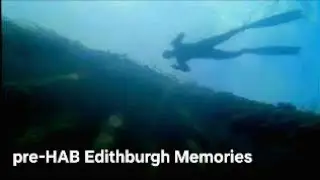 Our Tribute to Edithburgh Underwater (pre-HAB video) | Adelaide Freedive Tribe