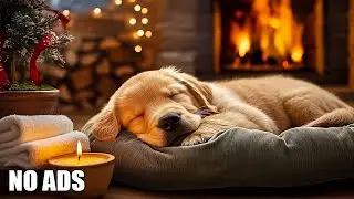 12 HOURS of Dog Calming Music For Dogs💖Anti Separation Anxiety Relief Music🐶Sleep dog🎵 Healing Music
