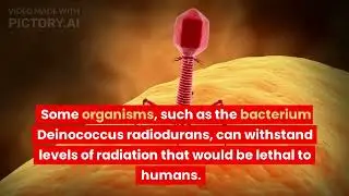 The Weird World of DNA: 20 Mind-Blowing Facts That Will Blow Your Mind!