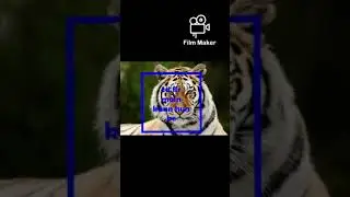 Current condition of Tiger😅😂😂...