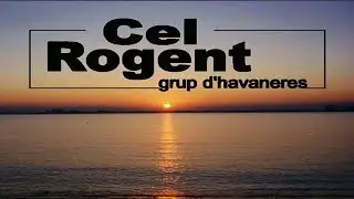 Cel rogent la gavina
