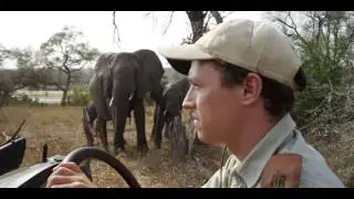 The Definitive African Experience - MalaMala & Mashatu Game Reserves